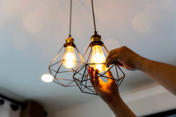 Best Home Electrical Repair  in Elbow Lake, MN