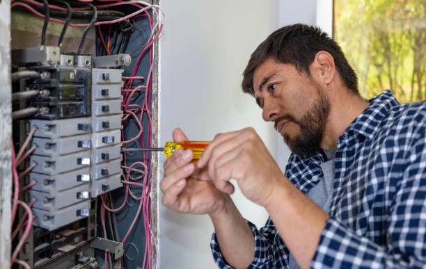 Best Local Electrician Companies  in Elbow Lake, MN